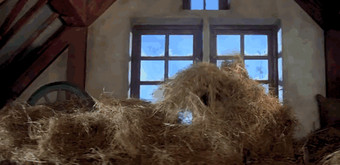 DDLJ Raj and Simran in a Barn